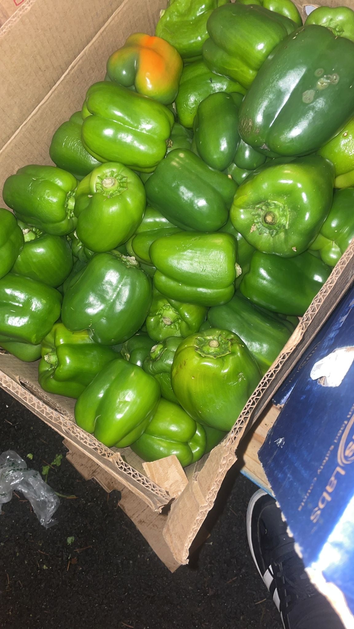 Green pepper