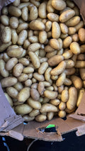 Small Potatoes