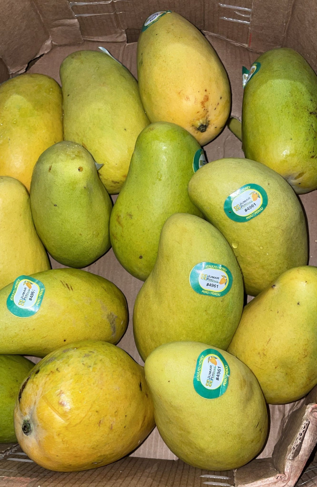 Mango
