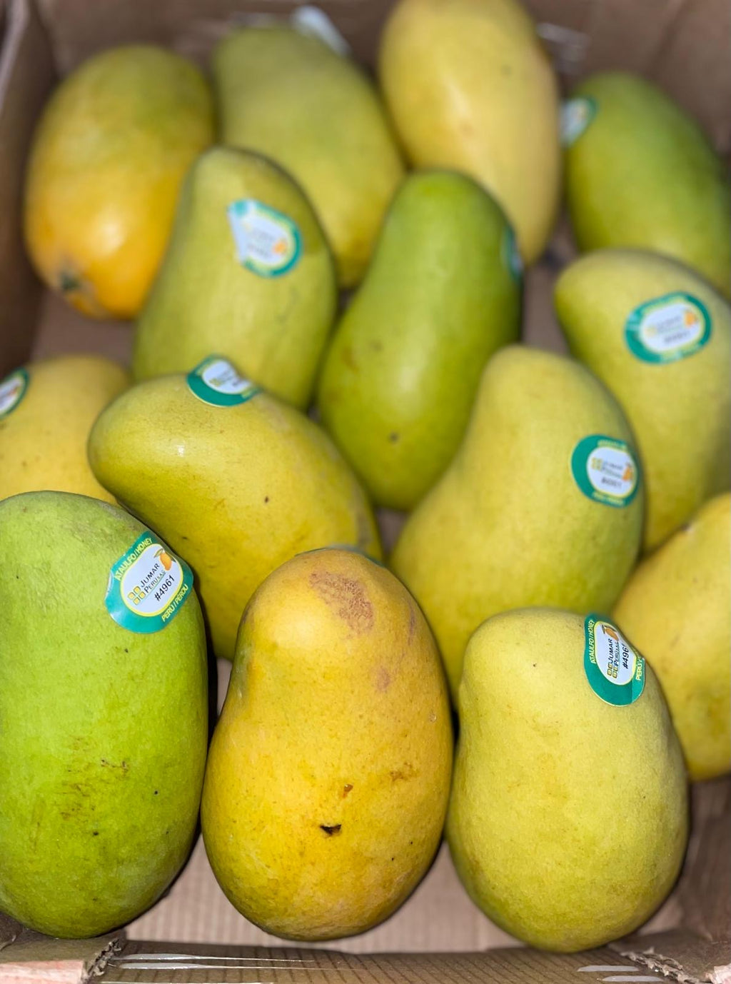 Mango