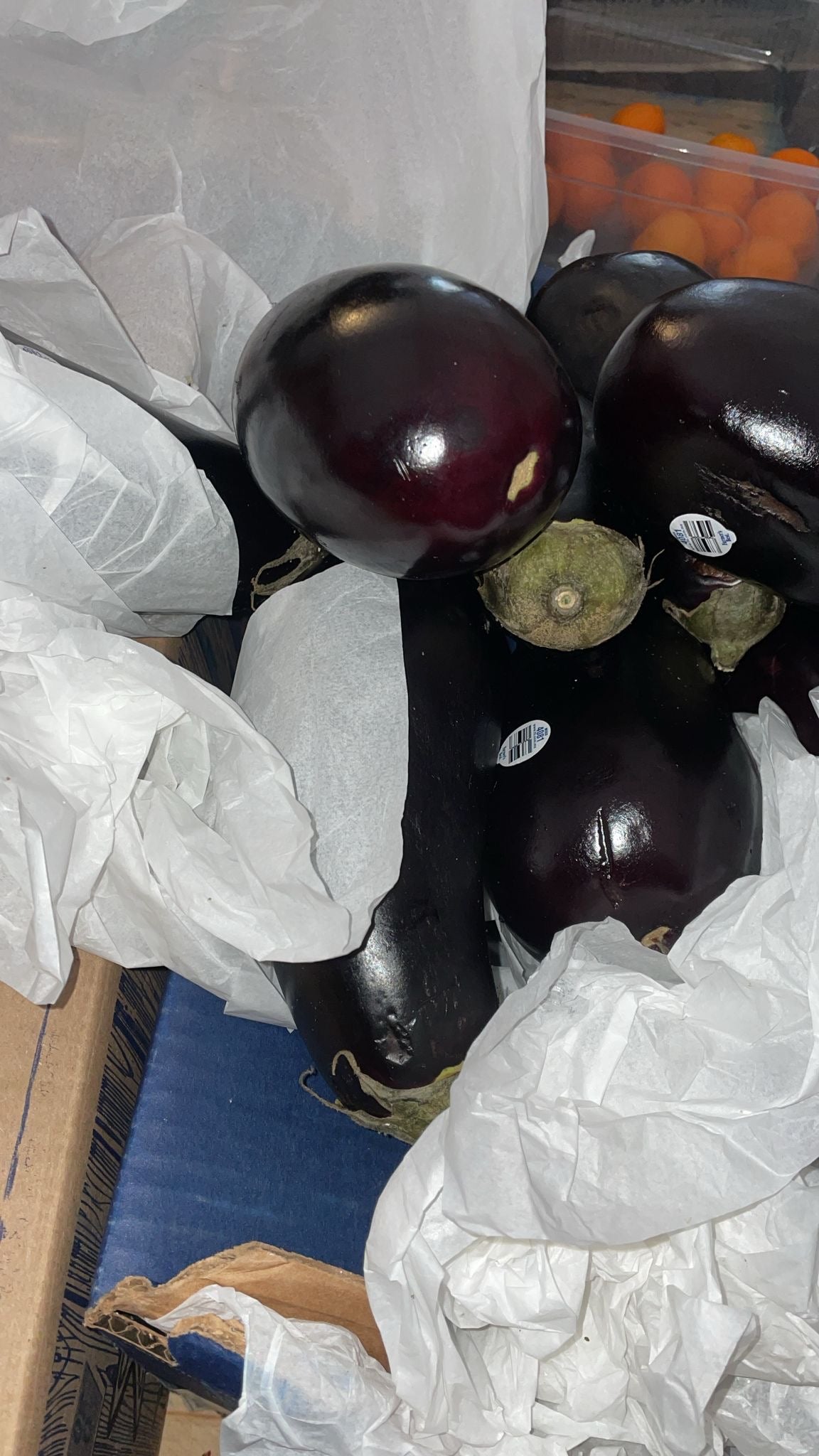 Eggplant