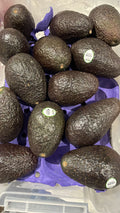 Avocado