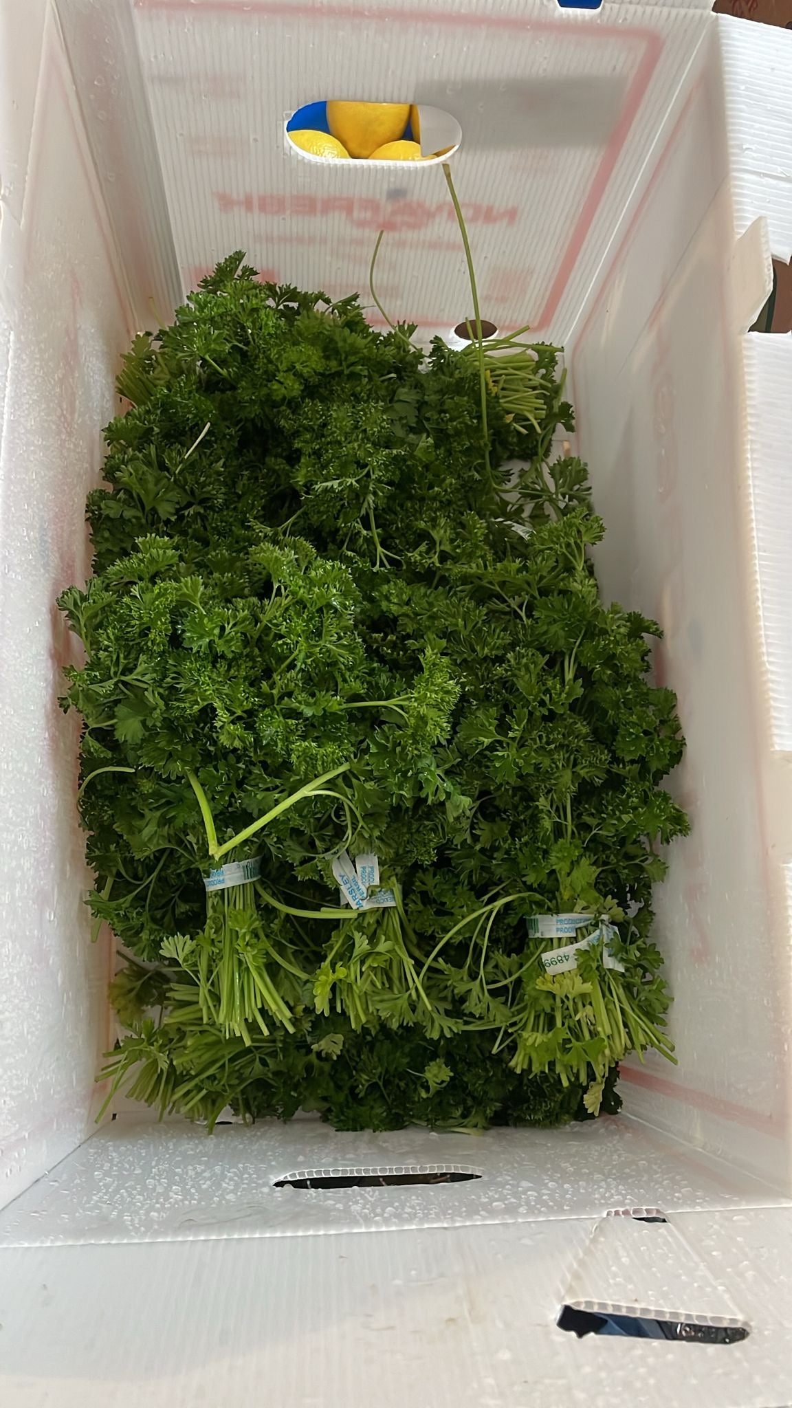 Parsley