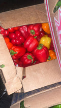 Red pepper
