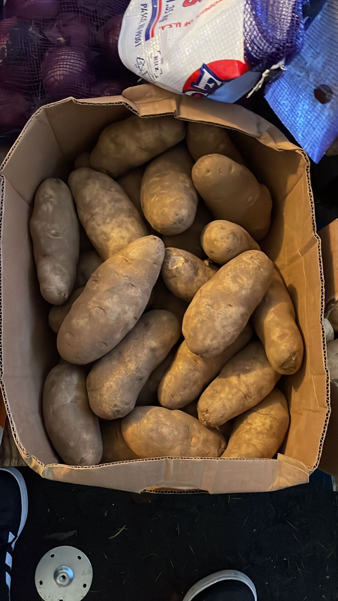 Large potatoes