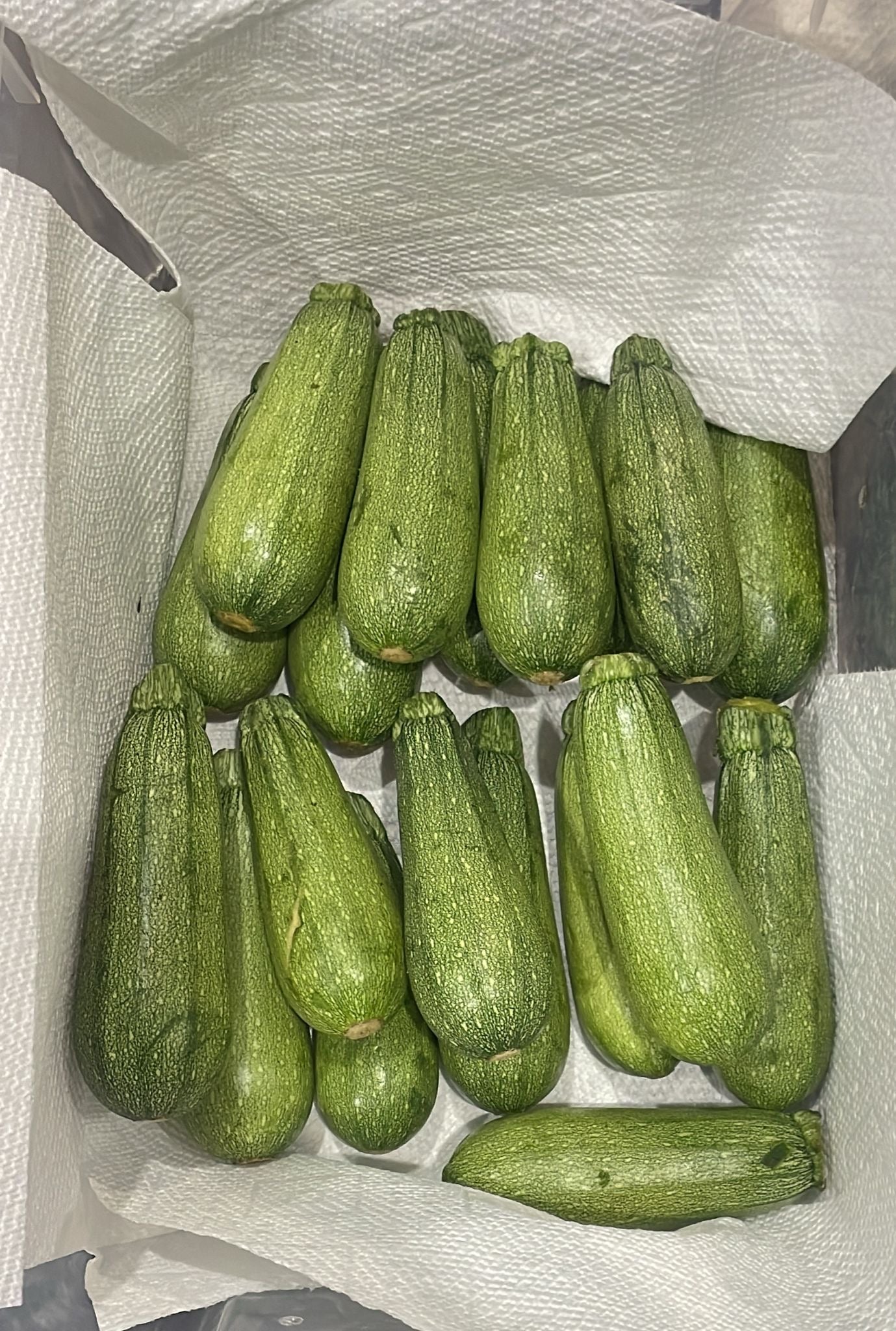 Small Zucchini