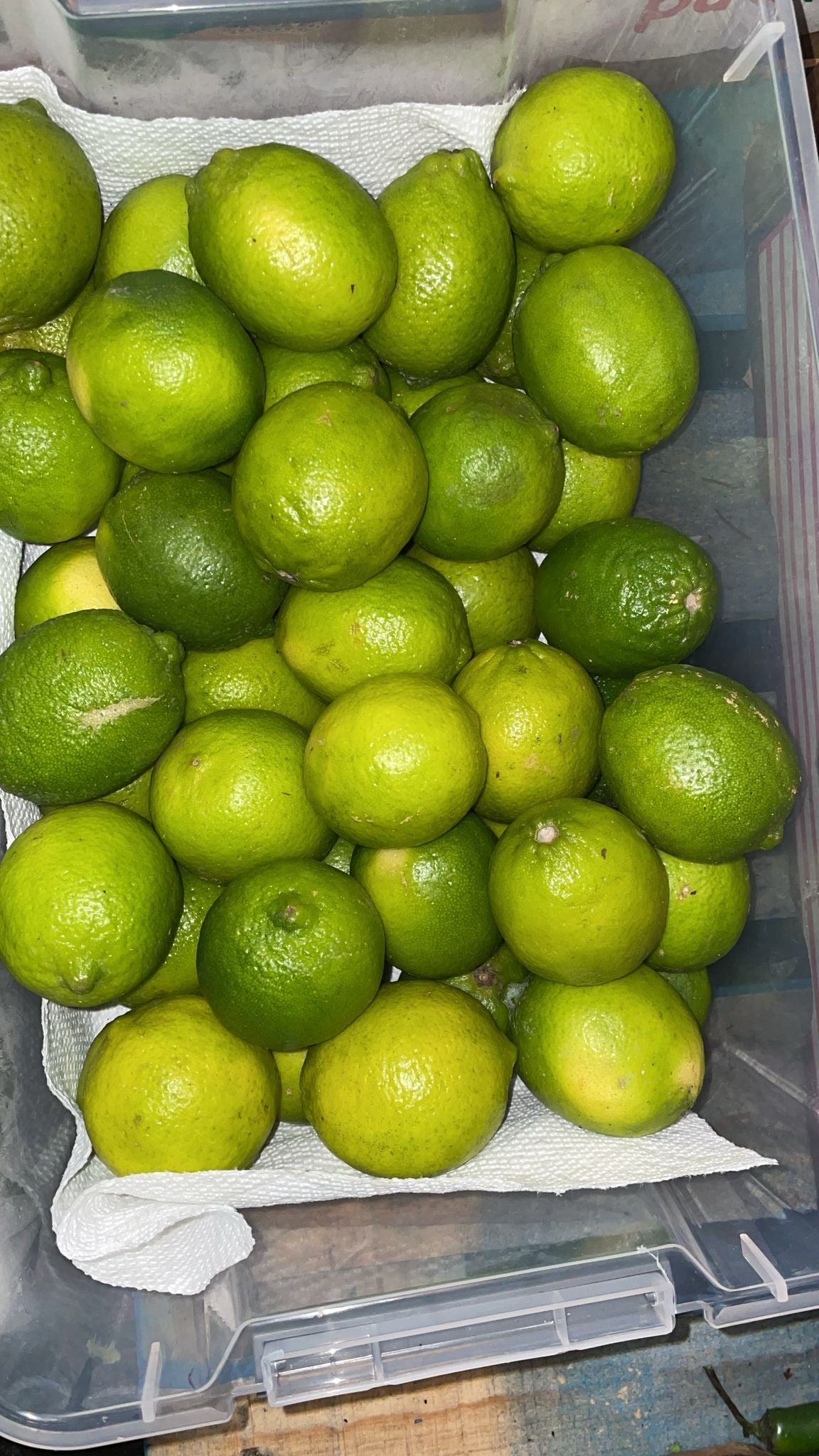 Limes