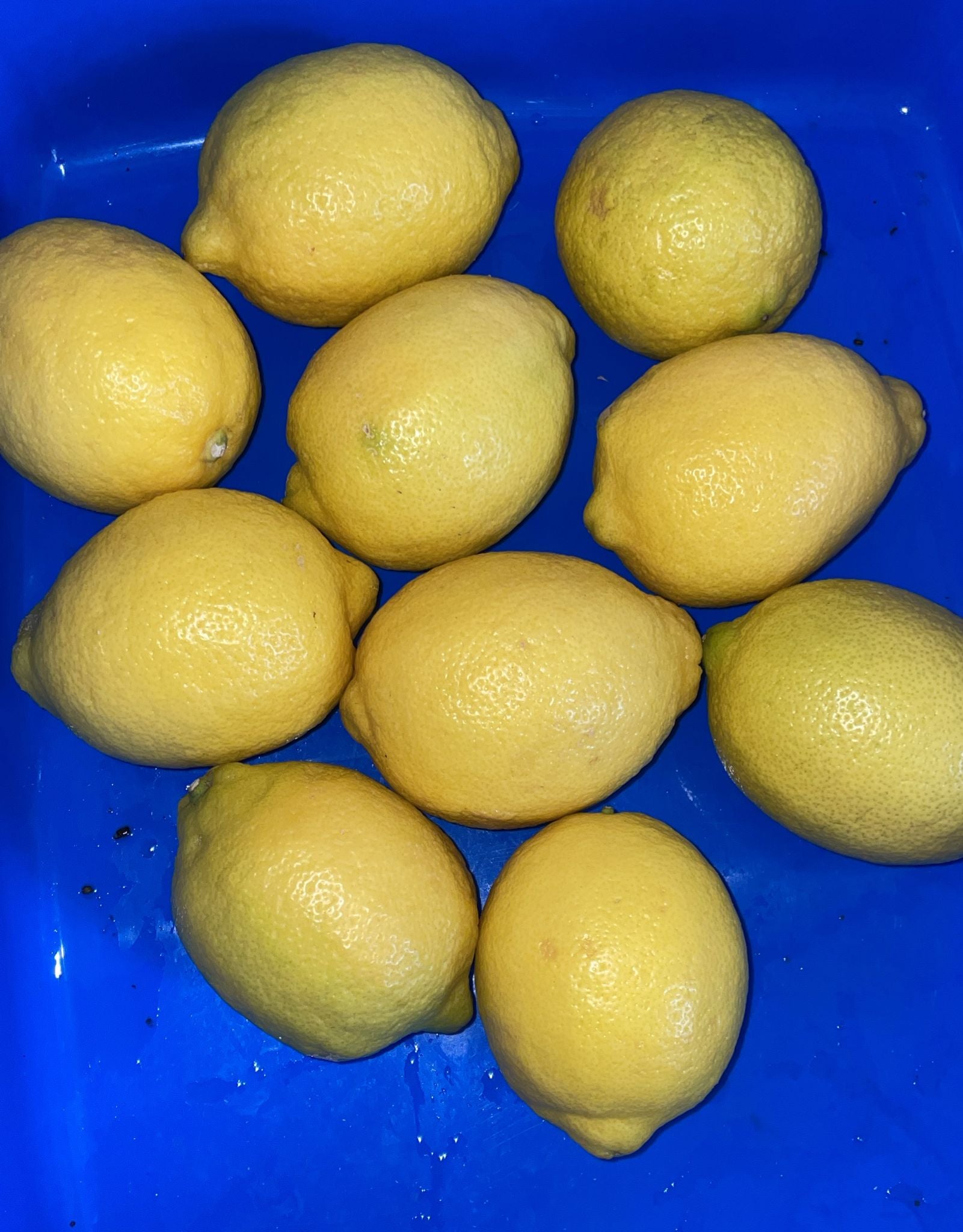 Lemon
