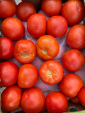 Fresh Tomatoes
